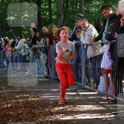 28.09.2025 - 33. Volkslauf durch das schöne Alstertal Strokosch-Dieckow http://msf.ph/oto/8959996 28.09.2025 10:47:23 Ziel 5960 meine-sportfotos.de