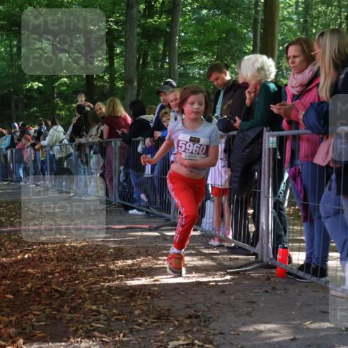 28.09.2025 - 33. Volkslauf durch das schöne Alstertal Strokosch-Dieckow http://msf.ph/oto/8960003 28.09.2025 10:47:24 Ziel 5960 meine-sportfotos.de