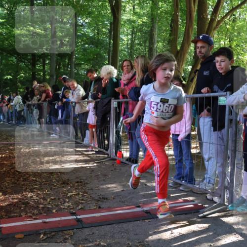 28.09.2025 - 33. Volkslauf durch das schöne Alstertal Strokosch-Dieckow http://msf.ph/oto/8960017 28.09.2025 10:47:24 Ziel 5960 meine-sportfotos.de