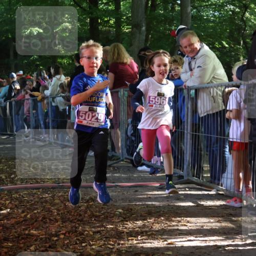 28.09.2025 - 33. Volkslauf durch das schöne Alstertal Strokosch-Dieckow http://msf.ph/oto/8960036 28.09.2025 10:47:36 Ziel 5004, 5029, 5035, 5049, 5961 meine-sportfotos.de
