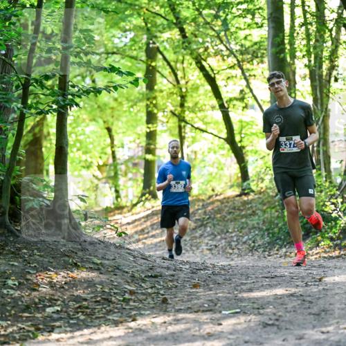 28.09.2025 - 33. Volkslauf durch das schöne Alstertal Dr. Thomas Lammeyer http://msf.ph/oto/8960038 28.09.2025 10:58:57 Laufen 3392, 337 meine-sportfotos.de