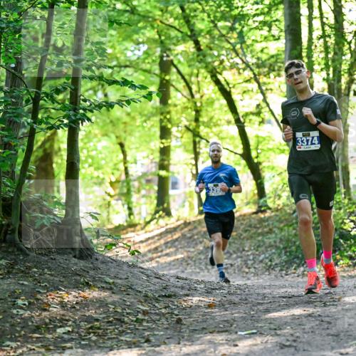 28.09.2025 - 33. Volkslauf durch das schöne Alstertal Dr. Thomas Lammeyer http://msf.ph/oto/8960042 28.09.2025 10:58:57 Laufen 339, 3374 meine-sportfotos.de