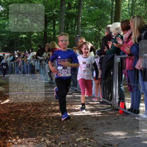 28.09.2025 - 33. Volkslauf durch das schöne Alstertal Strokosch-Dieckow http://msf.ph/oto/8960044 28.09.2025 10:47:36 Ziel 5004, 5029, 5035, 5049, 5961 meine-sportfotos.de