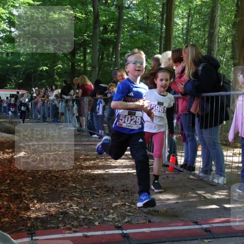 28.09.2025 - 33. Volkslauf durch das schöne Alstertal Strokosch-Dieckow http://msf.ph/oto/8960051 28.09.2025 10:47:36 Ziel 5004, 5029, 5035, 5049, 5961 meine-sportfotos.de