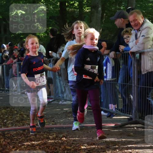 28.09.2025 - 33. Volkslauf durch das schöne Alstertal Strokosch-Dieckow http://msf.ph/oto/8960069 28.09.2025 10:47:40 Ziel 5004, 5035, 5049, 5957 meine-sportfotos.de