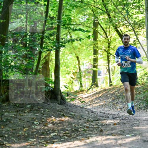 28.09.2025 - 33. Volkslauf durch das schöne Alstertal Dr. Thomas Lammeyer http://msf.ph/oto/8960073 28.09.2025 10:59:20 Laufen 3365 meine-sportfotos.de