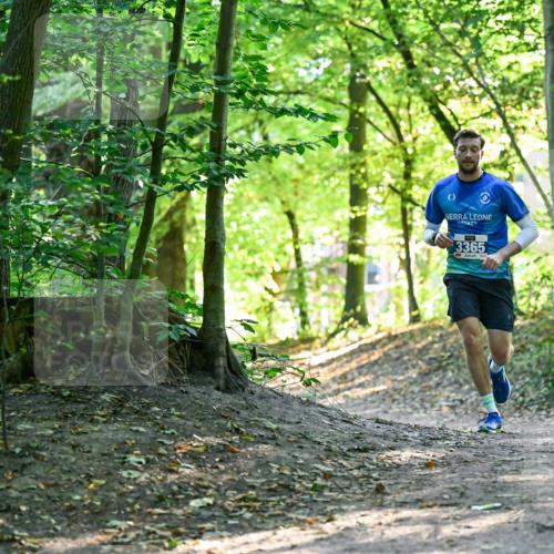 28.09.2025 - 33. Volkslauf durch das schöne Alstertal Dr. Thomas Lammeyer http://msf.ph/oto/8960074 28.09.2025 10:59:20 Laufen 3365 meine-sportfotos.de