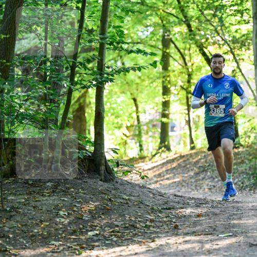 28.09.2025 - 33. Volkslauf durch das schöne Alstertal Dr. Thomas Lammeyer http://msf.ph/oto/8960076 28.09.2025 10:59:20 Laufen 3365 meine-sportfotos.de