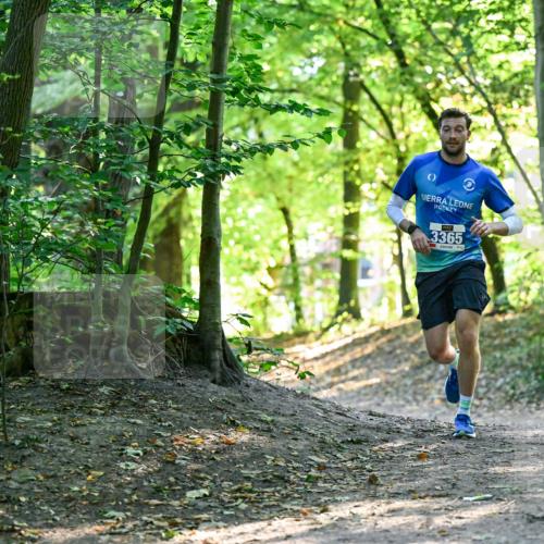 28.09.2025 - 33. Volkslauf durch das schöne Alstertal Dr. Thomas Lammeyer http://msf.ph/oto/8960078 28.09.2025 10:59:20 Laufen 3365 meine-sportfotos.de