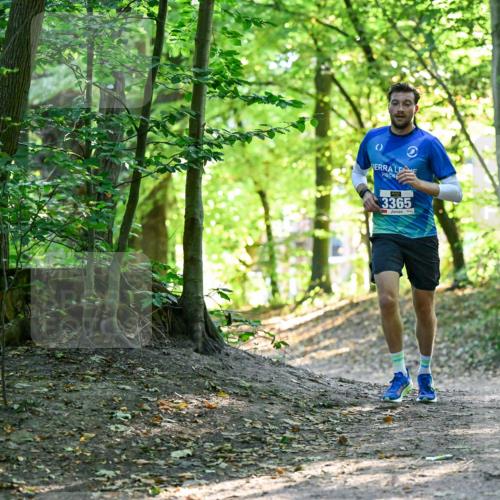 28.09.2025 - 33. Volkslauf durch das schöne Alstertal Dr. Thomas Lammeyer http://msf.ph/oto/8960079 28.09.2025 10:59:20 Laufen 3365 meine-sportfotos.de