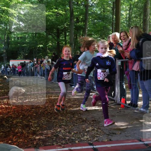 28.09.2025 - 33. Volkslauf durch das schöne Alstertal Strokosch-Dieckow http://msf.ph/oto/8960081 28.09.2025 10:47:40 Ziel 5004, 5035, 5049, 5957 meine-sportfotos.de