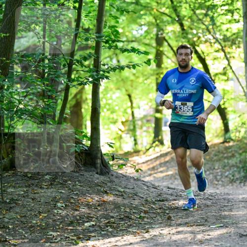 28.09.2025 - 33. Volkslauf durch das schöne Alstertal Dr. Thomas Lammeyer http://msf.ph/oto/8960082 28.09.2025 10:59:21 Laufen 3365 meine-sportfotos.de