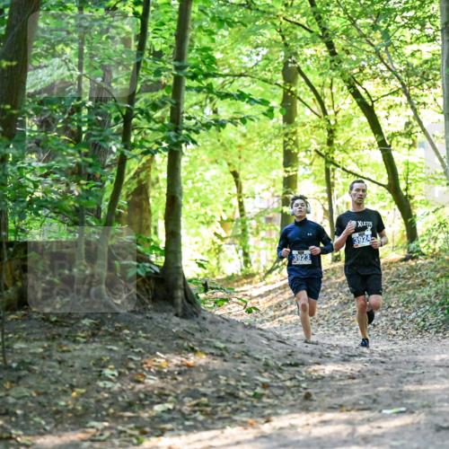 28.09.2025 - 33. Volkslauf durch das schöne Alstertal Dr. Thomas Lammeyer http://msf.ph/oto/8960091 28.09.2025 10:59:25 Laufen 3923, 3924 meine-sportfotos.de