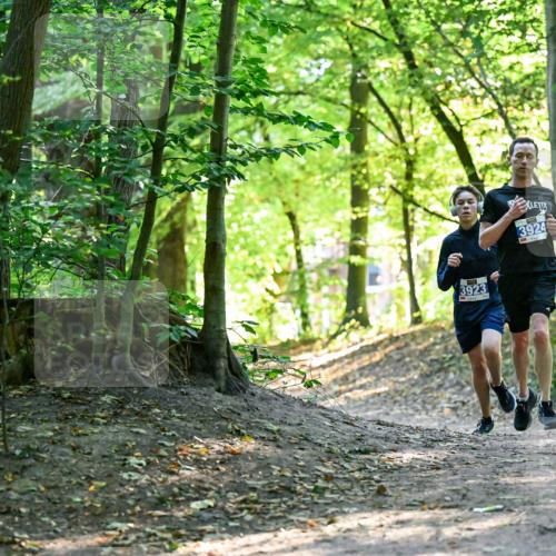 28.09.2025 - 33. Volkslauf durch das schöne Alstertal Dr. Thomas Lammeyer http://msf.ph/oto/8960104 28.09.2025 10:59:27 Laufen 3923, 3924 meine-sportfotos.de