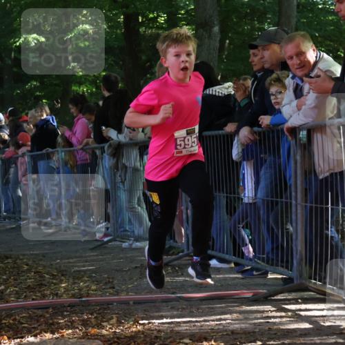 28.09.2025 - 33. Volkslauf durch das schöne Alstertal Strokosch-Dieckow http://msf.ph/oto/8960105 28.09.2025 10:47:46 Ziel 5017, 5957 meine-sportfotos.de