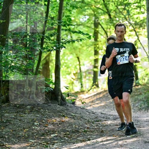 28.09.2025 - 33. Volkslauf durch das schöne Alstertal Dr. Thomas Lammeyer http://msf.ph/oto/8960116 28.09.2025 10:59:28 Laufen 3924 meine-sportfotos.de