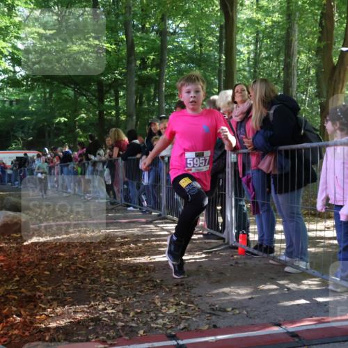 28.09.2025 - 33. Volkslauf durch das schöne Alstertal Strokosch-Dieckow http://msf.ph/oto/8960117 28.09.2025 10:47:47 Ziel 5017, 5957 meine-sportfotos.de