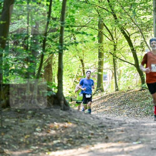 28.09.2025 - 33. Volkslauf durch das schöne Alstertal Dr. Thomas Lammeyer http://msf.ph/oto/8960121 28.09.2025 10:59:45 Laufen  meine-sportfotos.de