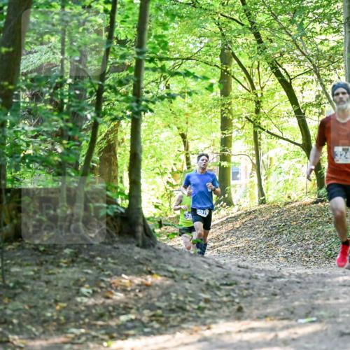 28.09.2025 - 33. Volkslauf durch das schöne Alstertal Dr. Thomas Lammeyer http://msf.ph/oto/8960122 28.09.2025 10:59:45 Laufen 3079, 3241 meine-sportfotos.de