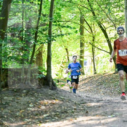 28.09.2025 - 33. Volkslauf durch das schöne Alstertal Dr. Thomas Lammeyer http://msf.ph/oto/8960123 28.09.2025 10:59:45 Laufen 3079, 3241 meine-sportfotos.de