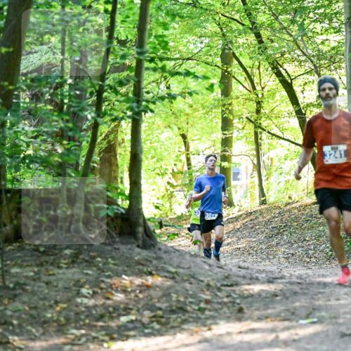 28.09.2025 - 33. Volkslauf durch das schöne Alstertal Dr. Thomas Lammeyer http://msf.ph/oto/8960125 28.09.2025 10:59:45 Laufen 33, 3079, 3241 meine-sportfotos.de
