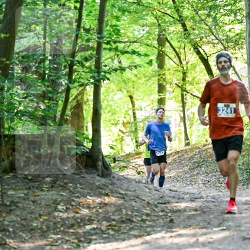 28.09.2025 - 33. Volkslauf durch das schöne Alstertal Dr. Thomas Lammeyer http://msf.ph/oto/8960126 28.09.2025 10:59:46 Laufen 3019, 3241 meine-sportfotos.de