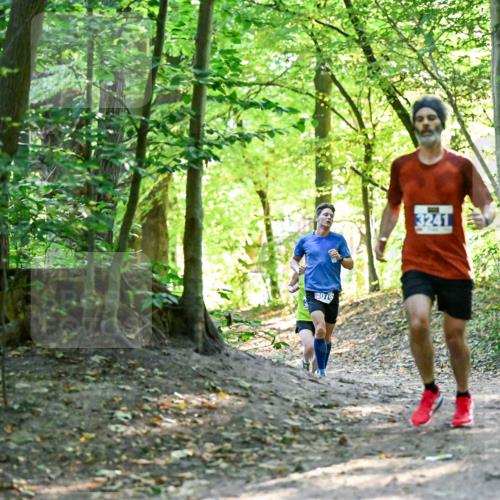 28.09.2025 - 33. Volkslauf durch das schöne Alstertal Dr. Thomas Lammeyer http://msf.ph/oto/8960127 28.09.2025 10:59:46 Laufen 3079, 3241 meine-sportfotos.de
