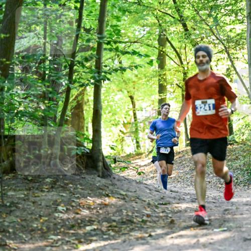 28.09.2025 - 33. Volkslauf durch das schöne Alstertal Dr. Thomas Lammeyer http://msf.ph/oto/8960128 28.09.2025 10:59:46 Laufen 3079, 3241 meine-sportfotos.de