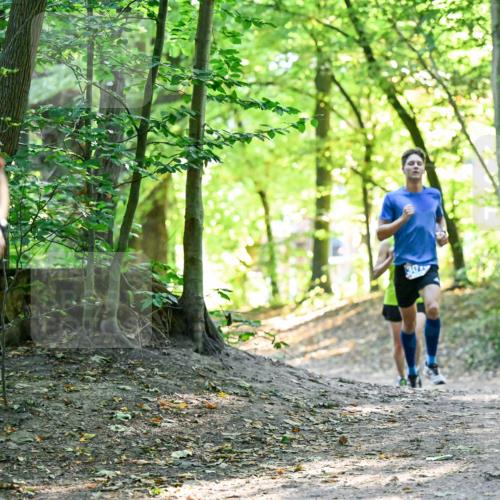 28.09.2025 - 33. Volkslauf durch das schöne Alstertal Dr. Thomas Lammeyer http://msf.ph/oto/8960139 28.09.2025 10:59:47 Laufen 241, 30 meine-sportfotos.de