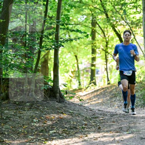 28.09.2025 - 33. Volkslauf durch das schöne Alstertal Dr. Thomas Lammeyer http://msf.ph/oto/8960141 28.09.2025 10:59:48 Laufen 3079 meine-sportfotos.de