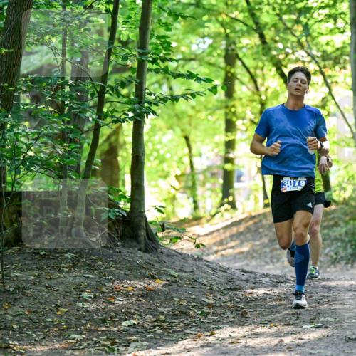 28.09.2025 - 33. Volkslauf durch das schöne Alstertal Dr. Thomas Lammeyer http://msf.ph/oto/8960146 28.09.2025 10:59:49 Laufen 3079 meine-sportfotos.de