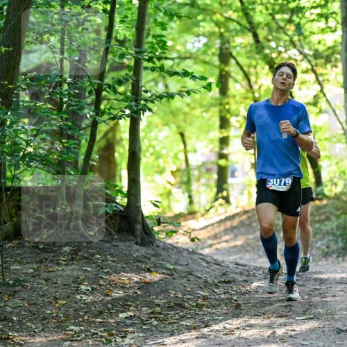 28.09.2025 - 33. Volkslauf durch das schöne Alstertal Dr. Thomas Lammeyer http://msf.ph/oto/8960147 28.09.2025 10:59:49 Laufen 3079 meine-sportfotos.de