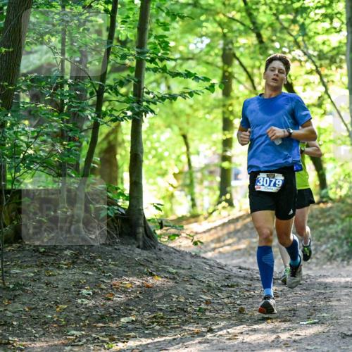 28.09.2025 - 33. Volkslauf durch das schöne Alstertal Dr. Thomas Lammeyer http://msf.ph/oto/8960148 28.09.2025 10:59:49 Laufen 3079 meine-sportfotos.de