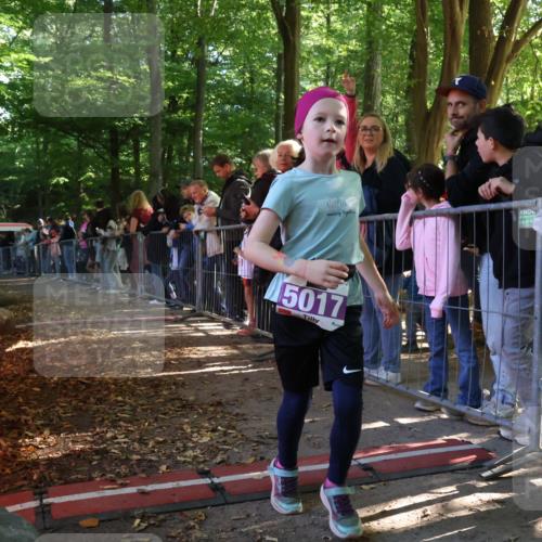 28.09.2025 - 33. Volkslauf durch das schöne Alstertal Strokosch-Dieckow http://msf.ph/oto/8960150 28.09.2025 10:47:52 Ziel  meine-sportfotos.de
