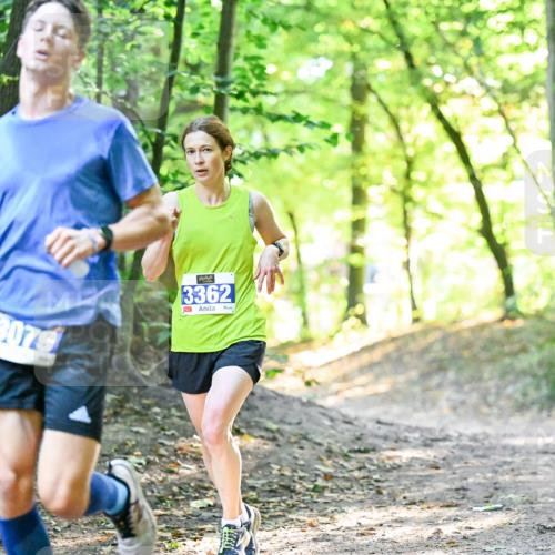 28.09.2025 - 33. Volkslauf durch das schöne Alstertal Dr. Thomas Lammeyer http://msf.ph/oto/8960153 28.09.2025 10:59:51 Laufen 3079, 3362 meine-sportfotos.de