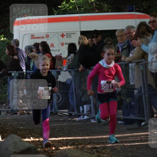 28.09.2025 - 33. Volkslauf durch das schöne Alstertal Strokosch-Dieckow http://msf.ph/oto/8960154 28.09.2025 10:47:59 Ziel 5011, 5954 meine-sportfotos.de