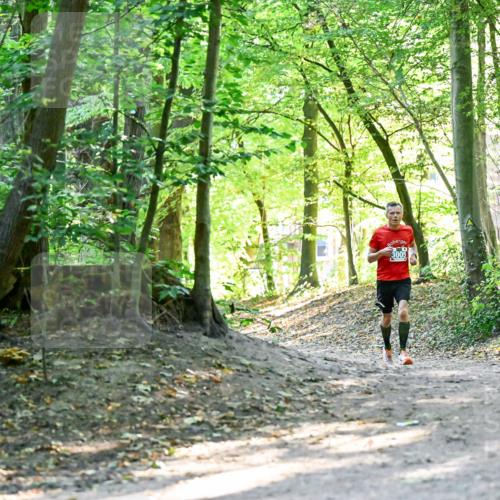 28.09.2025 - 33. Volkslauf durch das schöne Alstertal Dr. Thomas Lammeyer http://msf.ph/oto/8960157 28.09.2025 11:00:00 Laufen 3005 meine-sportfotos.de