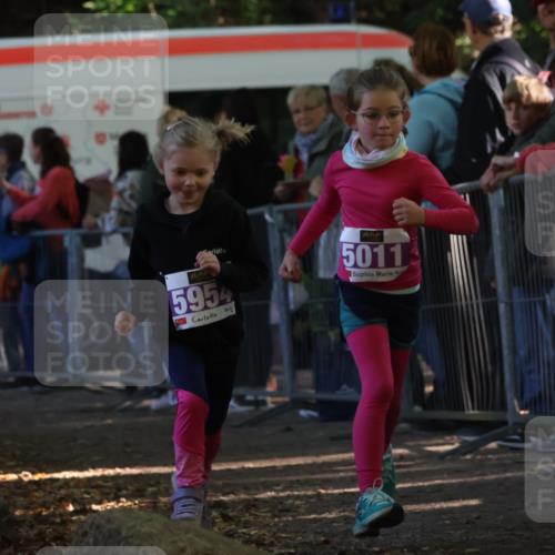 28.09.2025 - 33. Volkslauf durch das schöne Alstertal Strokosch-Dieckow http://msf.ph/oto/8960158 28.09.2025 10:48:01 Ziel 5011, 5954, 5963 meine-sportfotos.de