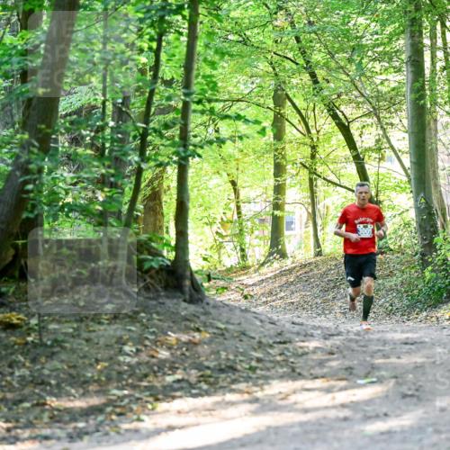 28.09.2025 - 33. Volkslauf durch das schöne Alstertal Dr. Thomas Lammeyer http://msf.ph/oto/8960159 28.09.2025 11:00:00 Laufen 3005 meine-sportfotos.de
