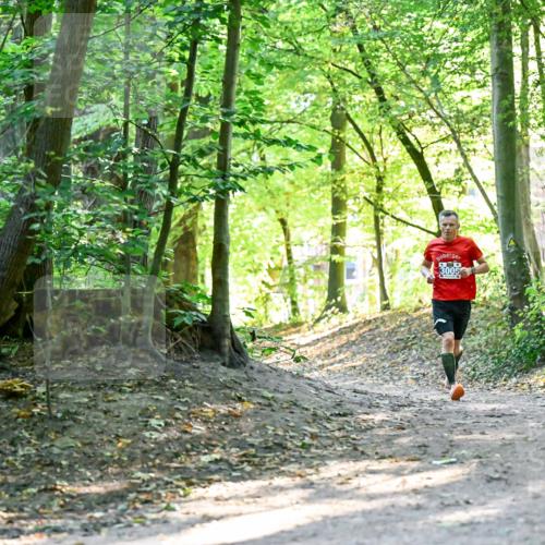28.09.2025 - 33. Volkslauf durch das schöne Alstertal Dr. Thomas Lammeyer http://msf.ph/oto/8960161 28.09.2025 11:00:00 Laufen  meine-sportfotos.de