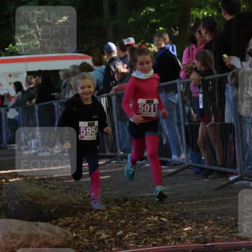 28.09.2025 - 33. Volkslauf durch das schöne Alstertal Strokosch-Dieckow http://msf.ph/oto/8960164 28.09.2025 10:48:02 Ziel 5011, 5954, 5956, 5963 meine-sportfotos.de