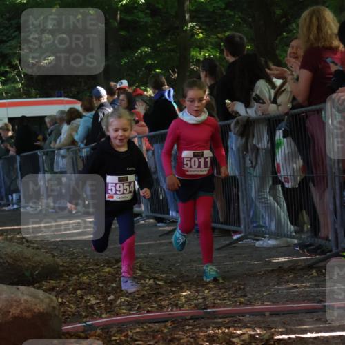 28.09.2025 - 33. Volkslauf durch das schöne Alstertal Strokosch-Dieckow http://msf.ph/oto/8960168 28.09.2025 10:48:02 Ziel 5011, 5954, 5956, 5963 meine-sportfotos.de