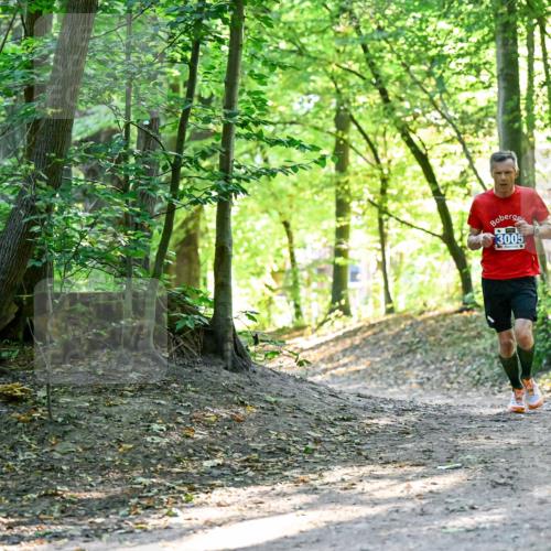 28.09.2025 - 33. Volkslauf durch das schöne Alstertal Dr. Thomas Lammeyer http://msf.ph/oto/8960175 28.09.2025 11:00:02 Laufen 3005 meine-sportfotos.de