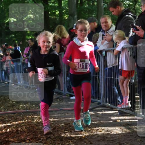 28.09.2025 - 33. Volkslauf durch das schöne Alstertal Strokosch-Dieckow http://msf.ph/oto/8960177 28.09.2025 10:48:04 Ziel 5011, 5954, 5956, 5963 meine-sportfotos.de