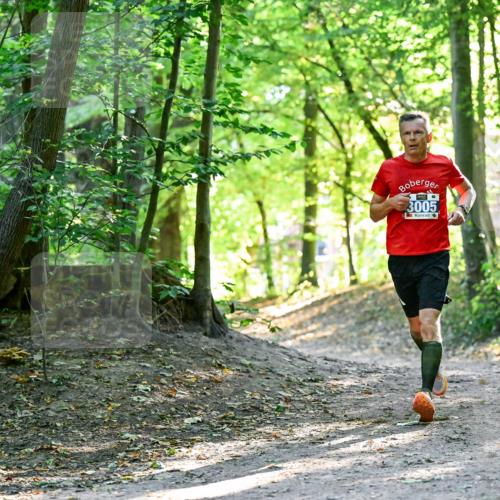 28.09.2025 - 33. Volkslauf durch das schöne Alstertal Dr. Thomas Lammeyer http://msf.ph/oto/8960182 28.09.2025 11:00:03 Laufen 3005 meine-sportfotos.de