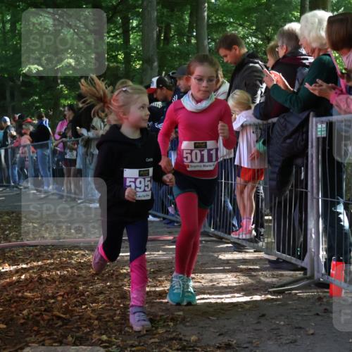 28.09.2025 - 33. Volkslauf durch das schöne Alstertal Strokosch-Dieckow http://msf.ph/oto/8960183 28.09.2025 10:48:04 Ziel 5011, 5954, 5956, 5963 meine-sportfotos.de
