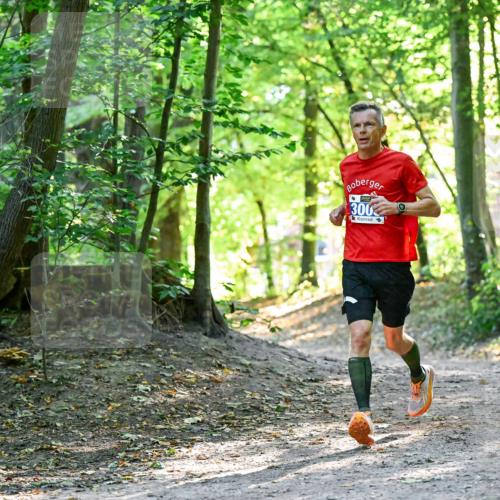 28.09.2025 - 33. Volkslauf durch das schöne Alstertal Dr. Thomas Lammeyer http://msf.ph/oto/8960185 28.09.2025 11:00:03 Laufen 300 meine-sportfotos.de