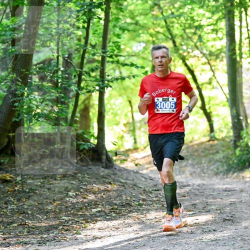 28.09.2025 - 33. Volkslauf durch das schöne Alstertal Dr. Thomas Lammeyer http://msf.ph/oto/8960187 28.09.2025 11:00:03 Laufen 0, 3005 meine-sportfotos.de