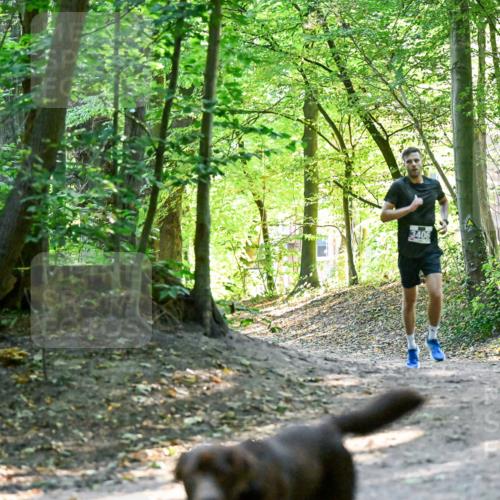 28.09.2025 - 33. Volkslauf durch das schöne Alstertal Dr. Thomas Lammeyer http://msf.ph/oto/8960188 28.09.2025 11:00:23 Laufen  meine-sportfotos.de