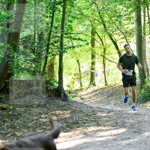 28.09.2025 - 33. Volkslauf durch das schöne Alstertal Dr. Thomas Lammeyer http://msf.ph/oto/8960190 28.09.2025 11:00:23 Laufen 901 meine-sportfotos.de